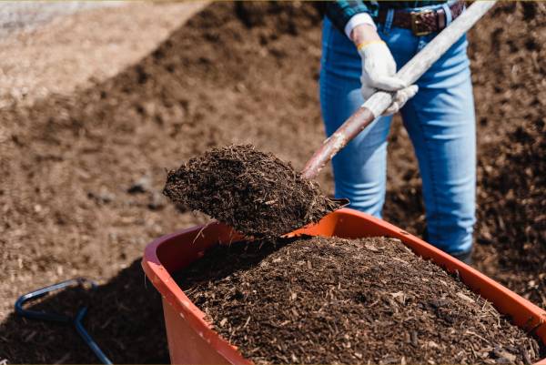Vrouw schept compost uit kruiwagen