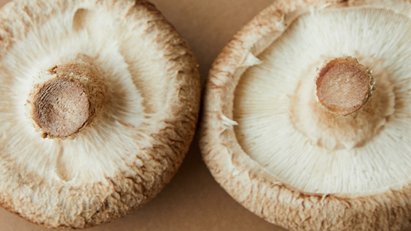 Close-up van portobello champignons