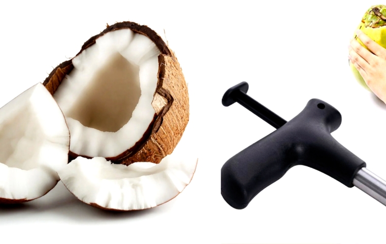 TEST: kokosnootopener