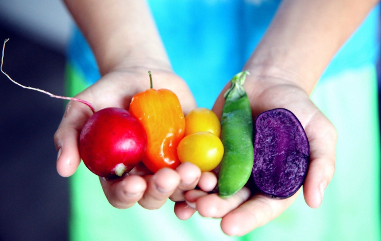 verschillende kleuren groenten worden vastgehouden in twee handen