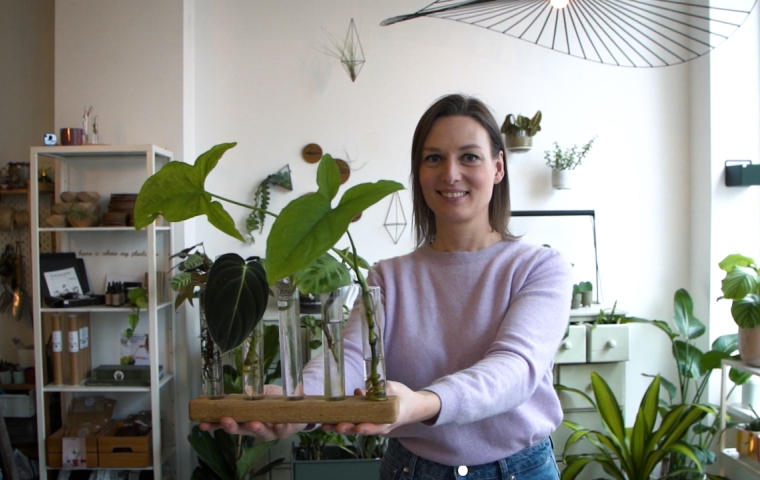 Sofie van The Plant Corner toont ons hoe we plantjes kunnen vermenigvuldigen